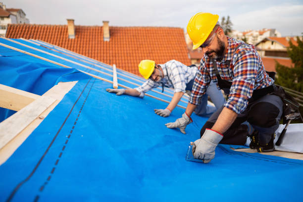 Best Metal Roofing Contractor  in Maud, TX