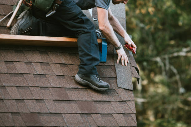 Best Storm Damage Roof Repair  in Maud, TX